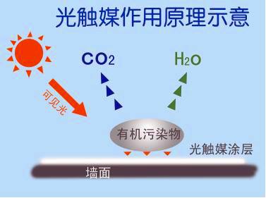甲醛檢測,甲醛治理,除甲醛公司,除甲醛的方法,康荃環測 甲醛檢測,甲醛治理,除甲醛公司,除甲醛的方法,康荃環測