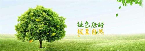 甲醛檢測,甲醛治理,除甲醛公司,除甲醛的方法,康荃環測 甲醛檢測,甲醛治理,除甲醛公司,除甲醛的方法,康荃環測